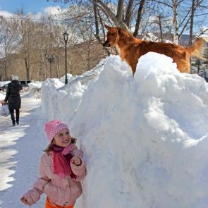 ����: �������