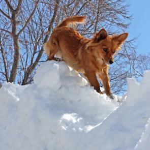 ����: ���� ����