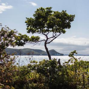 ����: ��������� �������