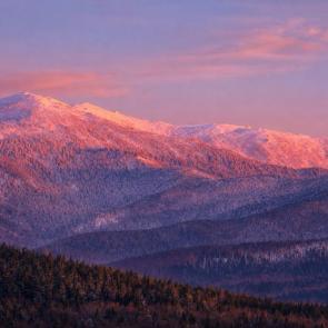 ����: ����� � ��������� ���� ������. �������