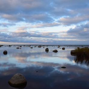 ����: �� ������