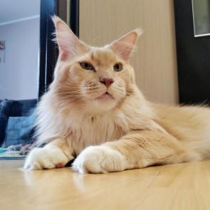 ���� ��������: ���