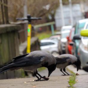 �������� ������ ���