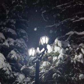 ����: ����...������