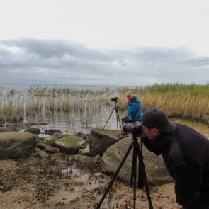 ������� �� ������������