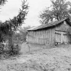 ���� ��������: �����