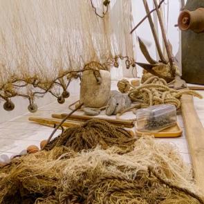 ����: ������