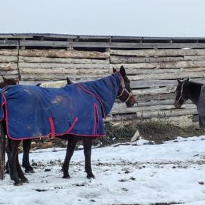 ���� ��������: ������ 