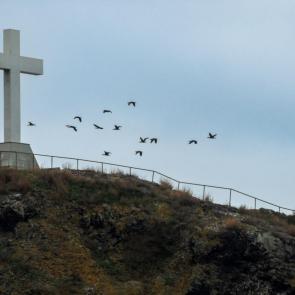 ����: ����� - ������� ���� 