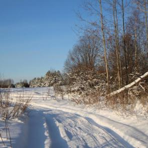 ����: ������ ������