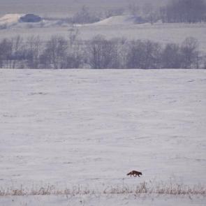 ����: � ������� �� ��������