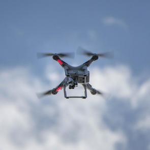 ����: �������