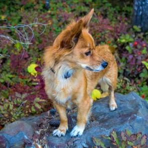 ����: � ���� ���� ������ ����������