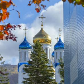 ����: ����� ��������� ��������  