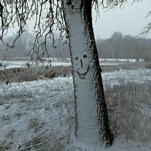 ����: ������ ����