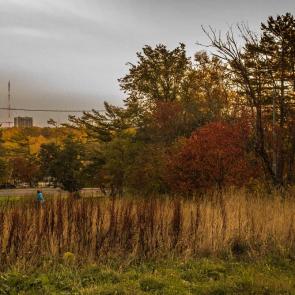 ����: ������� �����