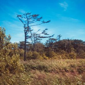 ����: ����� ��������� ����� 