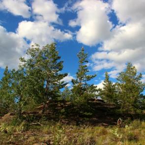 ����: �����.