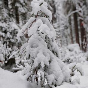 ����: � ���� �������� ������.. 