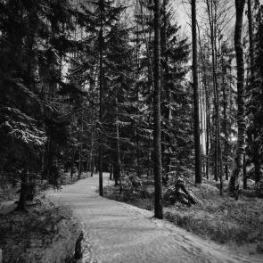 ���� ��������: �������� ���� �� ���� ������... 