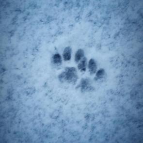 ����: ����� �� ������ ������, �������� ���� �!