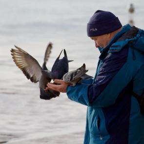 ����: ������ �������