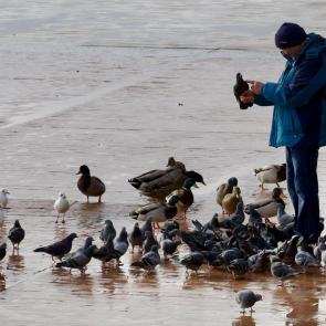 ����: � ����