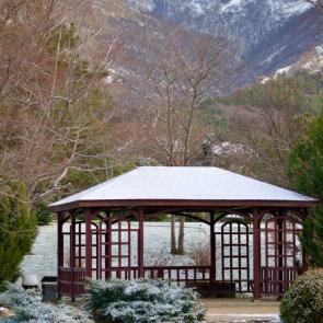 ����: ������� �����