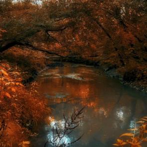 ����: ������.