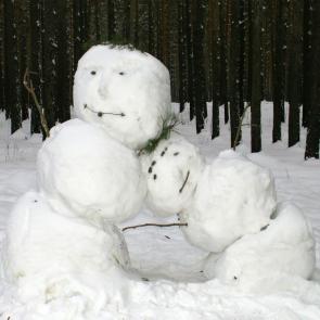 ����: ��������.