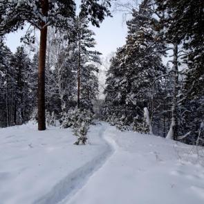 ����: ��������.