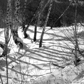 ����: ��������� �����.