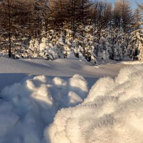 ��������� ����