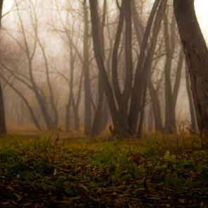 ����: � ������ 