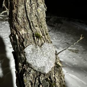 ����: ����� � ������