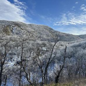 ����: ���