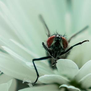 ���� ��������: 