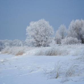 ���� ��������: � �������� ���� 