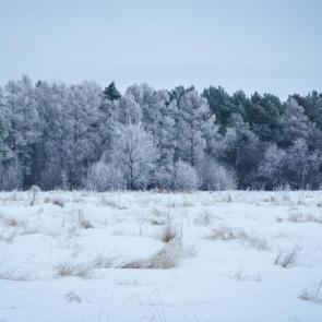 ����: ����� ����� 