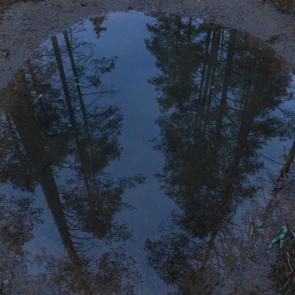 ����: ��� ������