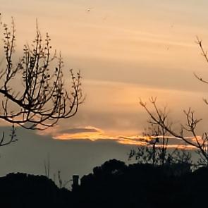 ���� ��������: 