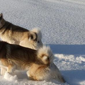 ����: ������� �� ����