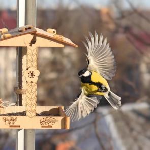 ����: ��������� ������. 