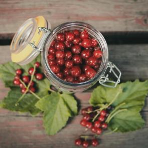 ����: ���� ����