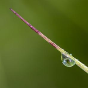 ����: ����� ����