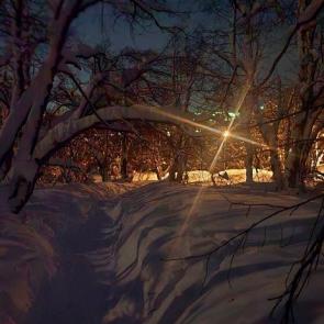 ����: ����� �����