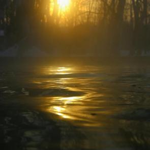 ����: ������