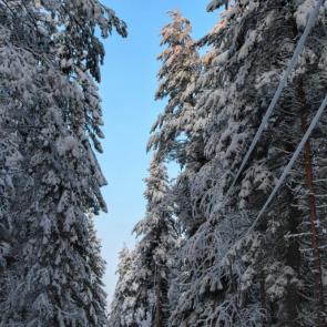 ����: ������ ��������� 