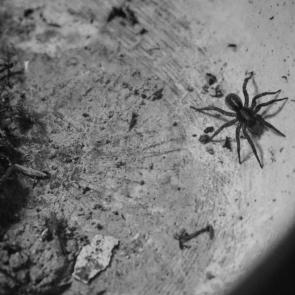 ����: ���� - ������� � ��� ���.