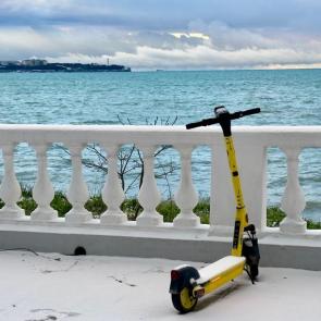 ����: ��������